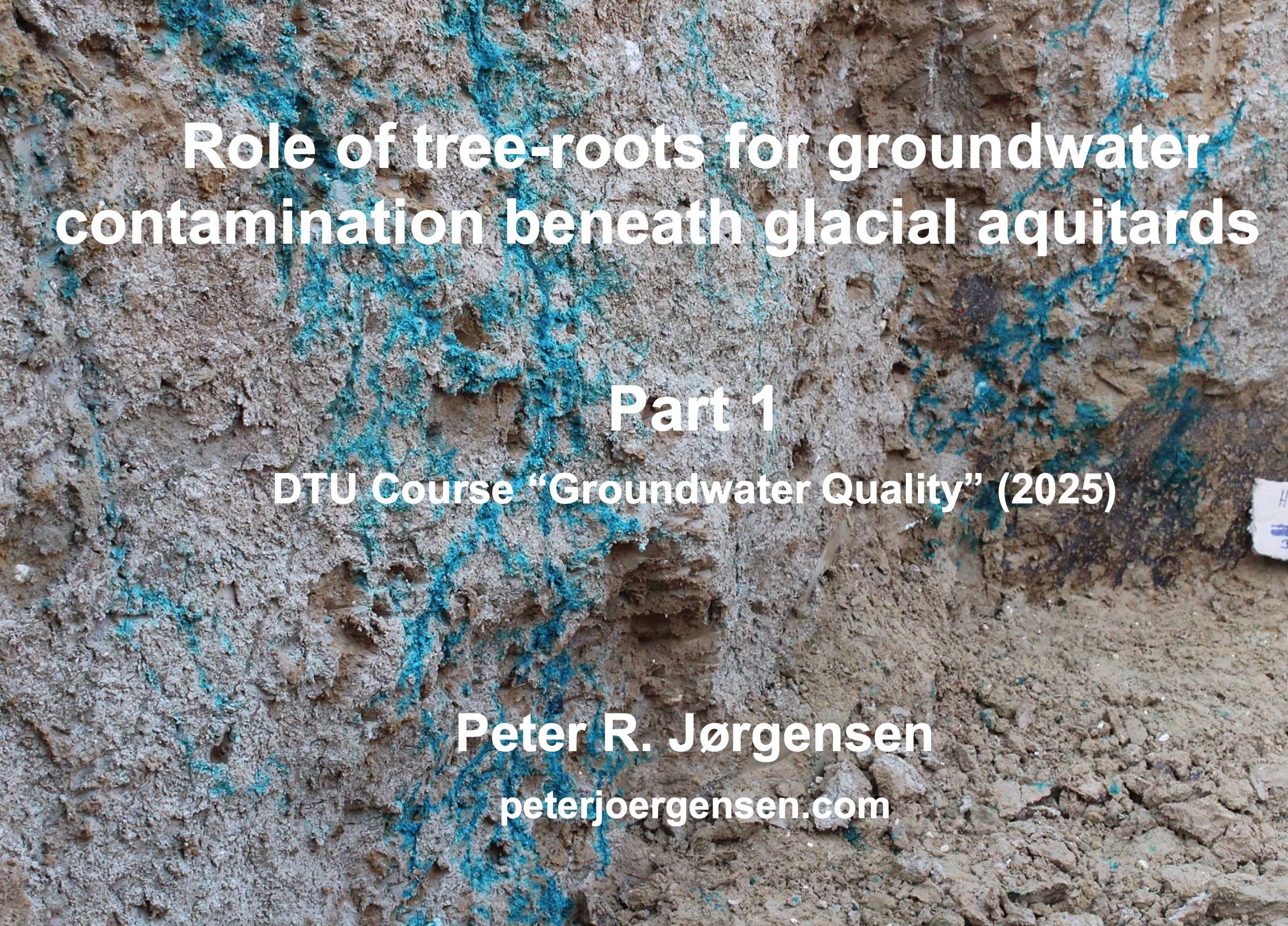 pestpore2_report